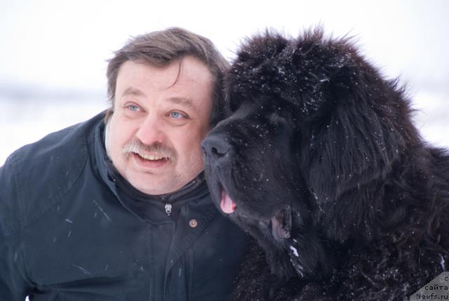 Фото: ньюфаундленд Cayuga Mescalero, Александр Красиньков