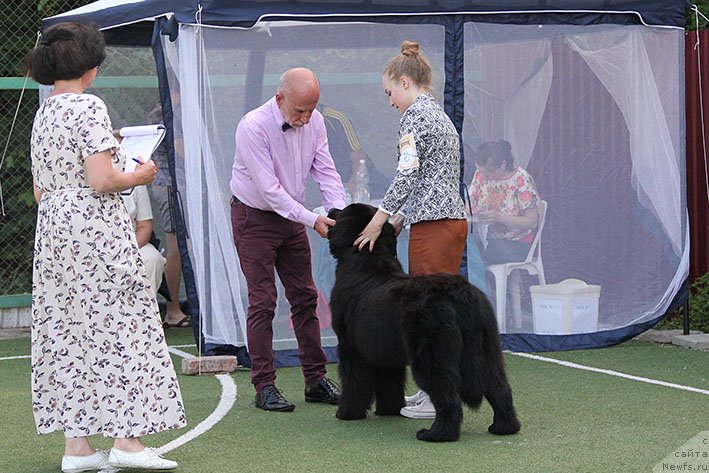 Фотография № 243185