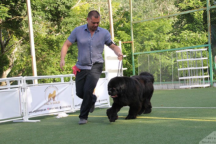 Фотография № 243192