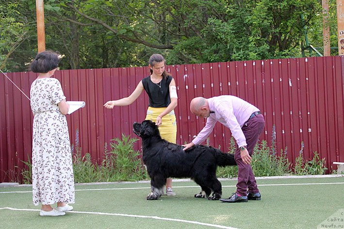 Фотография № 243204