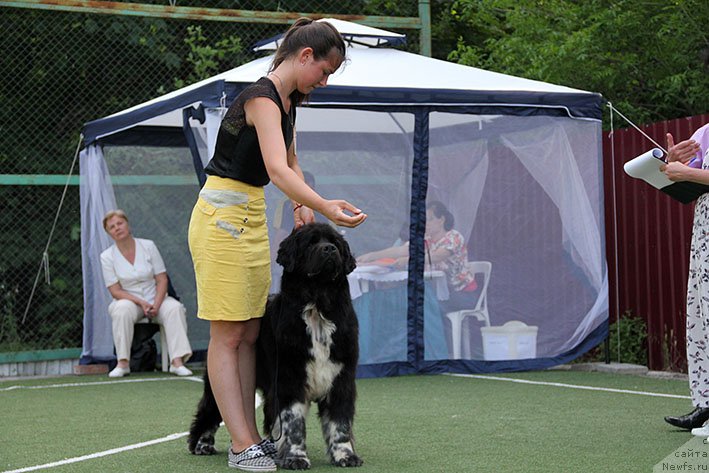 Фотография № 243206