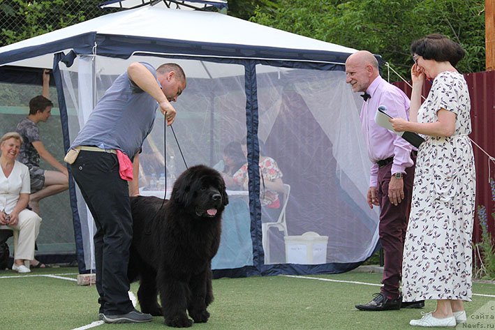 Фотография № 243207