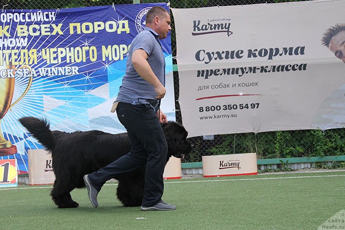 Фотография № 243209