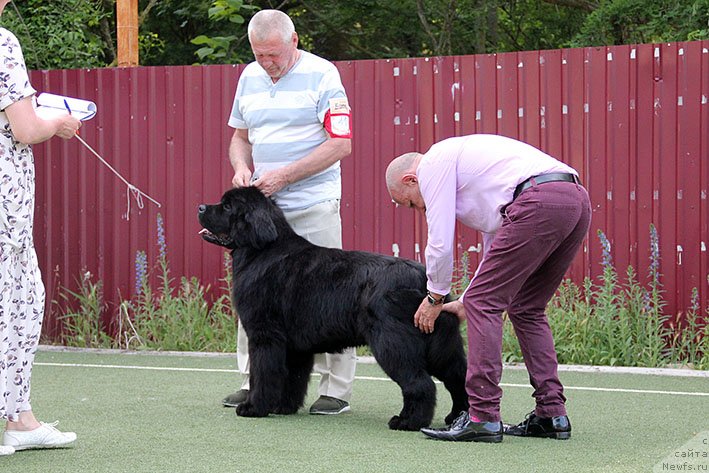 Фотография № 243210