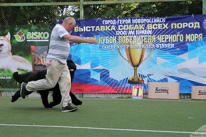 Фотография № 243211