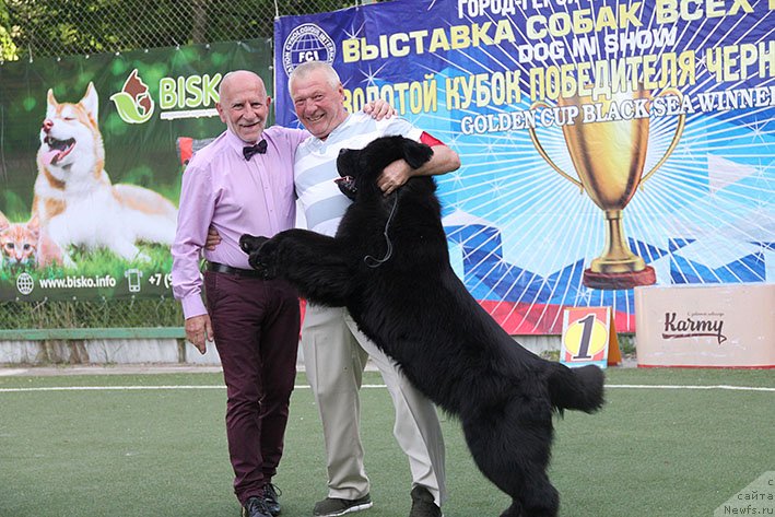 Фотография № 243213