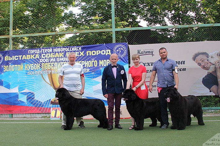 Фотография № 243215