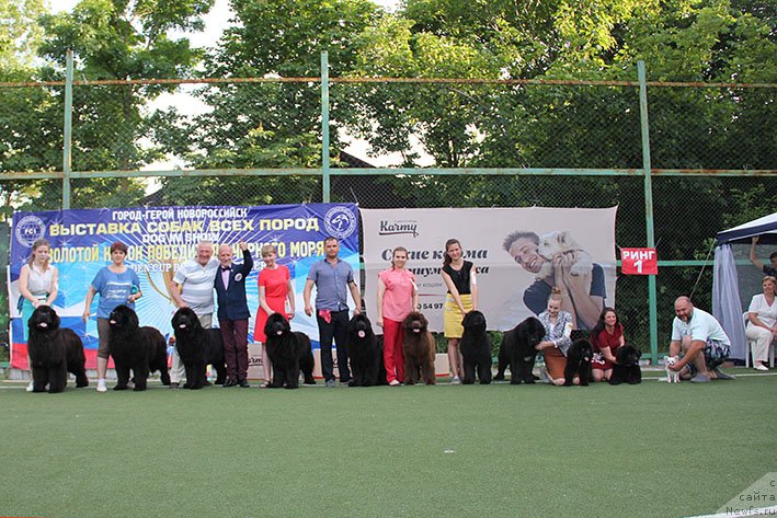 Фотография № 243216