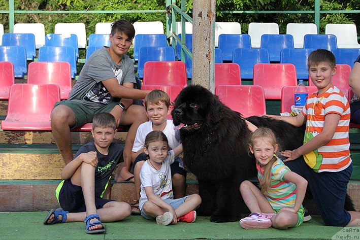 Фотография № 243217