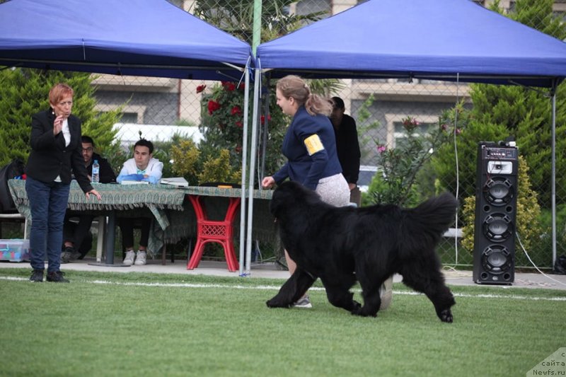 Фотография № 243223