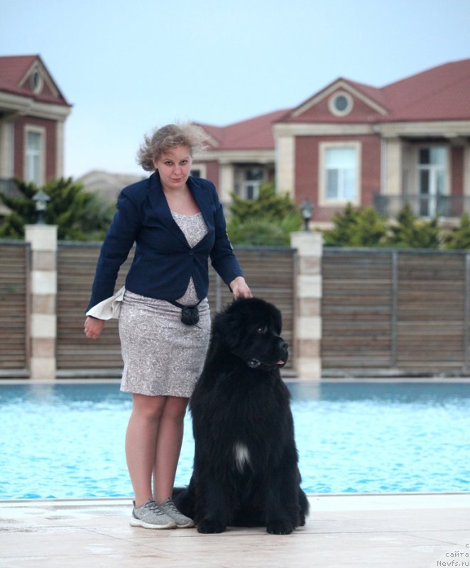 Фотография № 243224