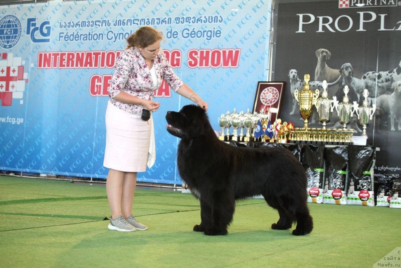 Фотография № 243225