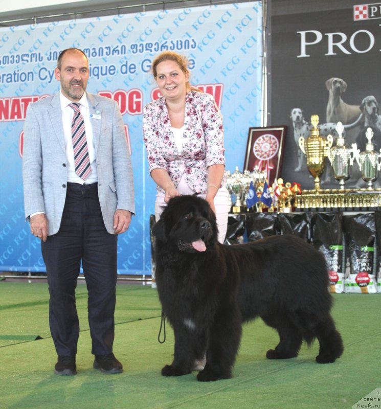 Фотография № 243226