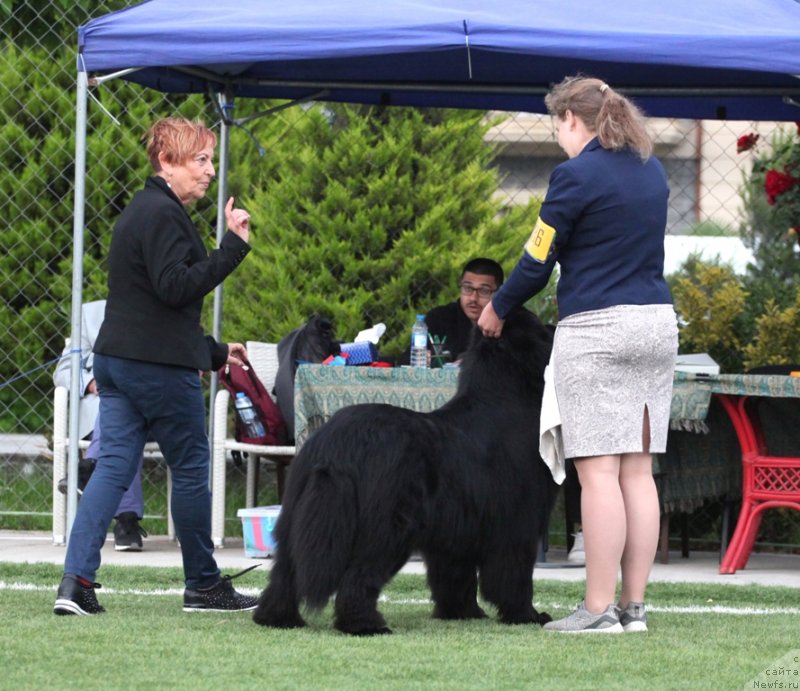 Фотография № 243227