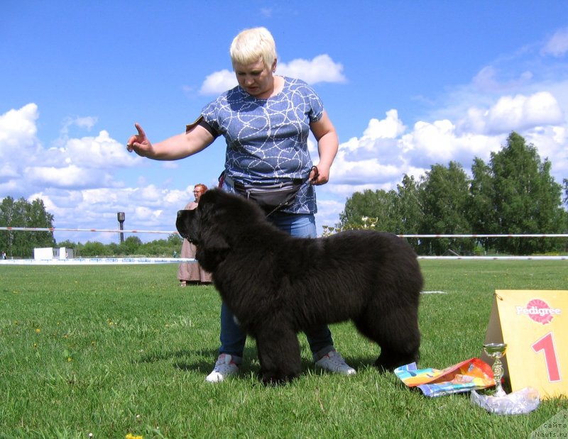 Фотография № 243234