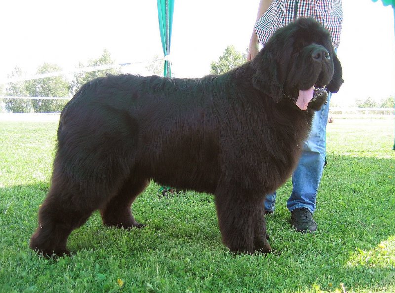 Фотография № 243238