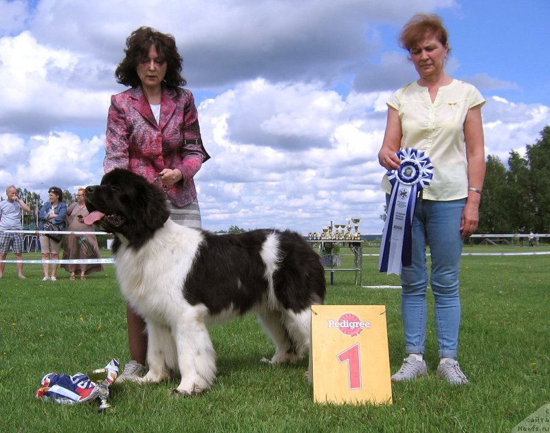 Фотография № 243239