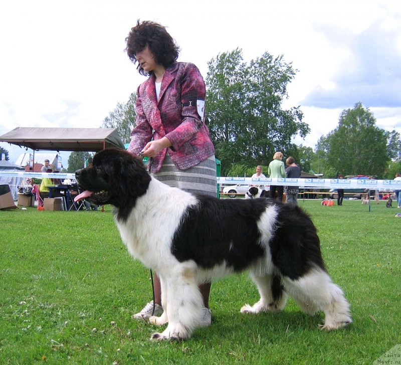 Фотография № 243240