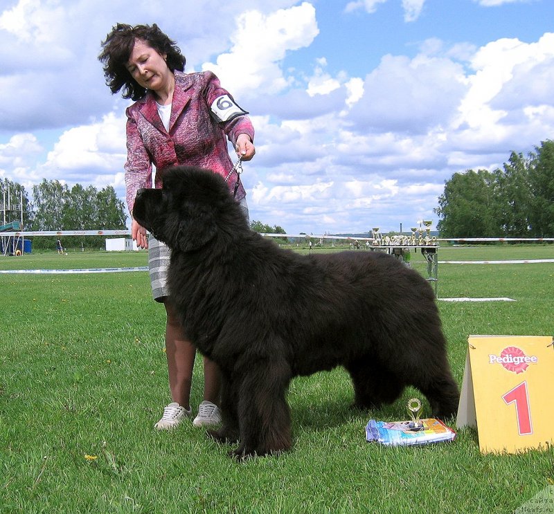 Фотография № 243247