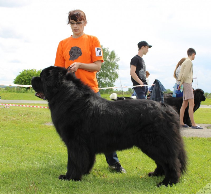 Фотография № 243248