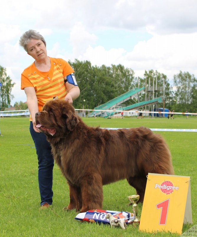 Фотография № 243249