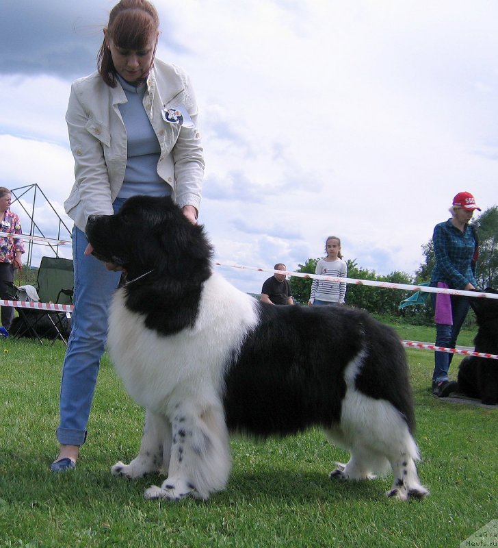 Фотография № 243250