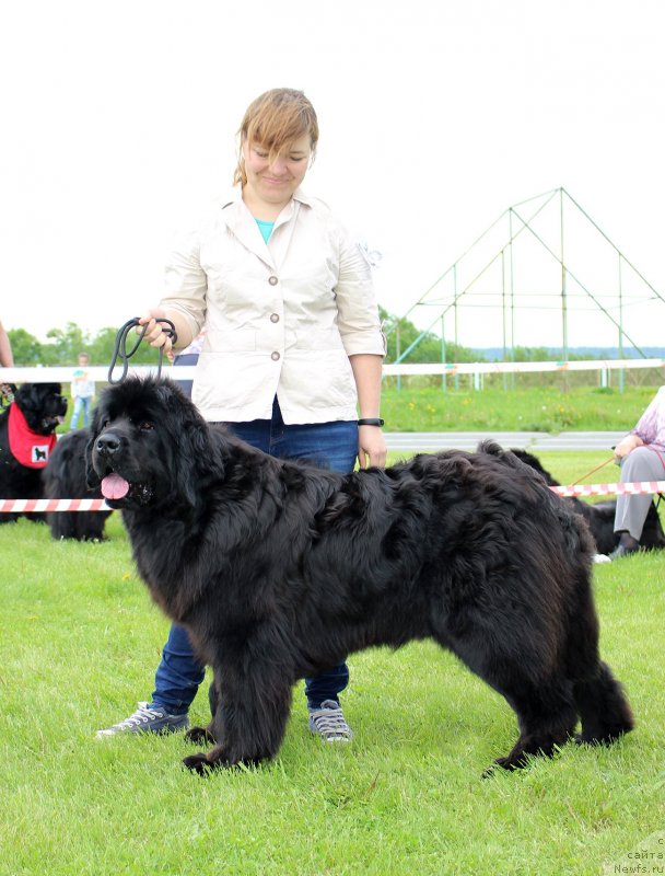 Фотография № 243259