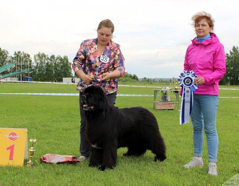 Фотография № 243268