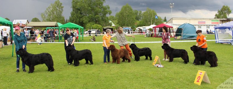 Фотография № 243269