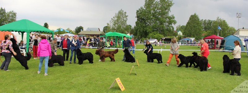 Фотография № 243271