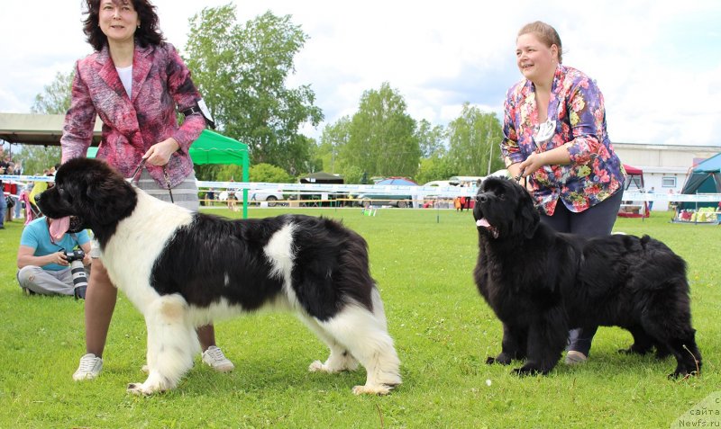 Фотография № 243273