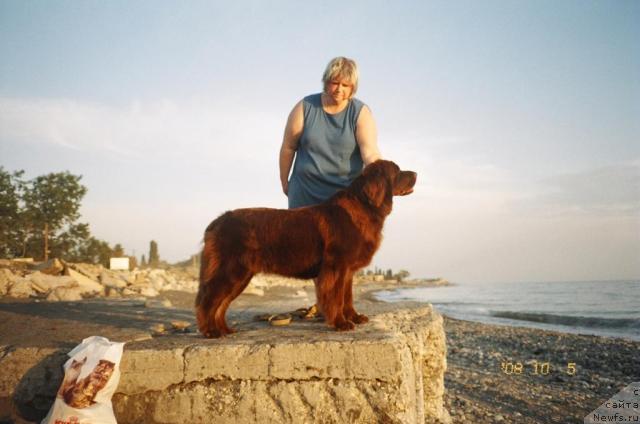 Фотография № 24328