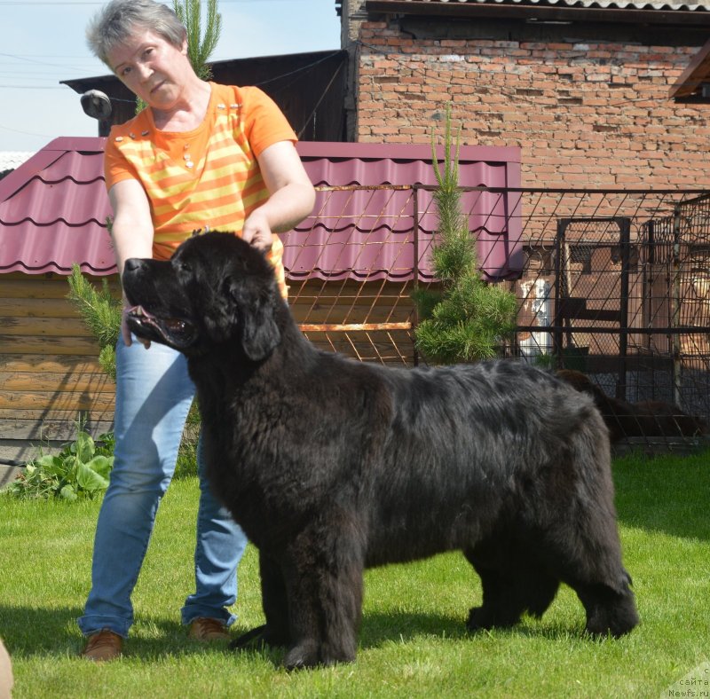 Фотография № 243284