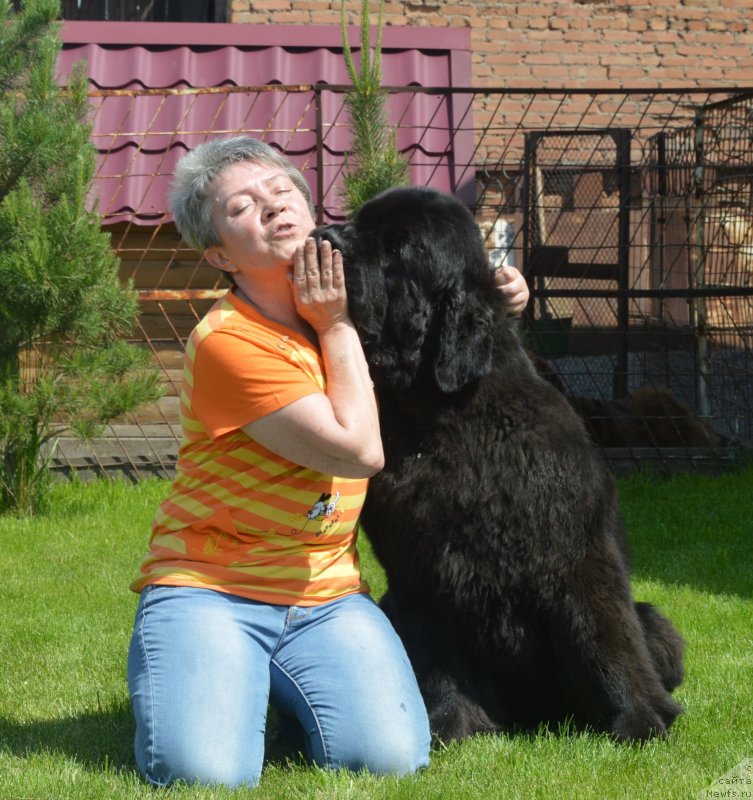 Фотография № 243286