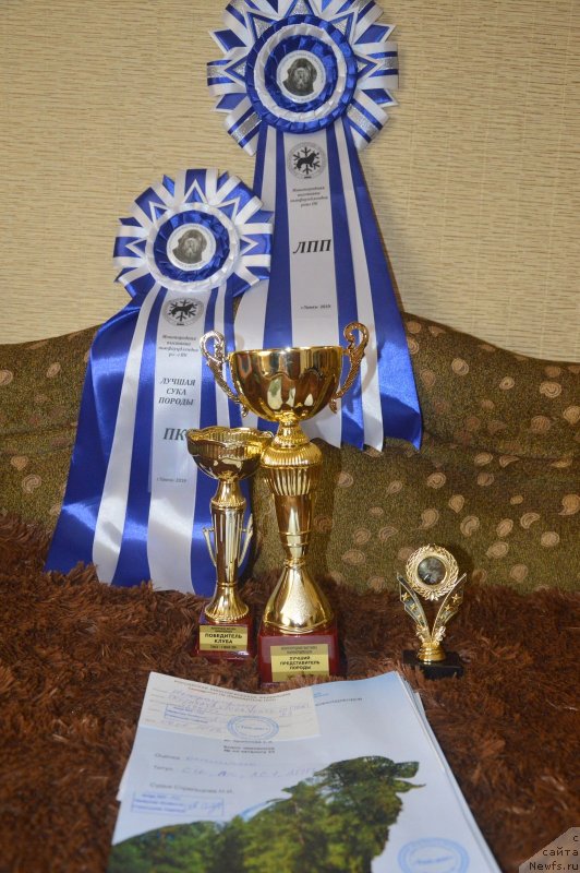 Фотография № 243287