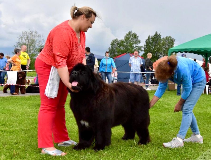 Фотография № 243288