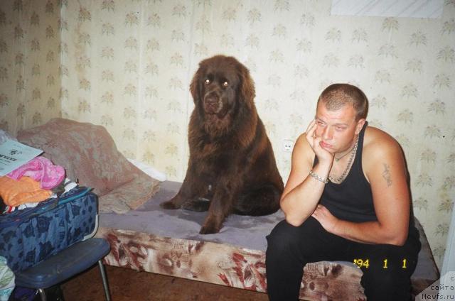 Фотография № 24329