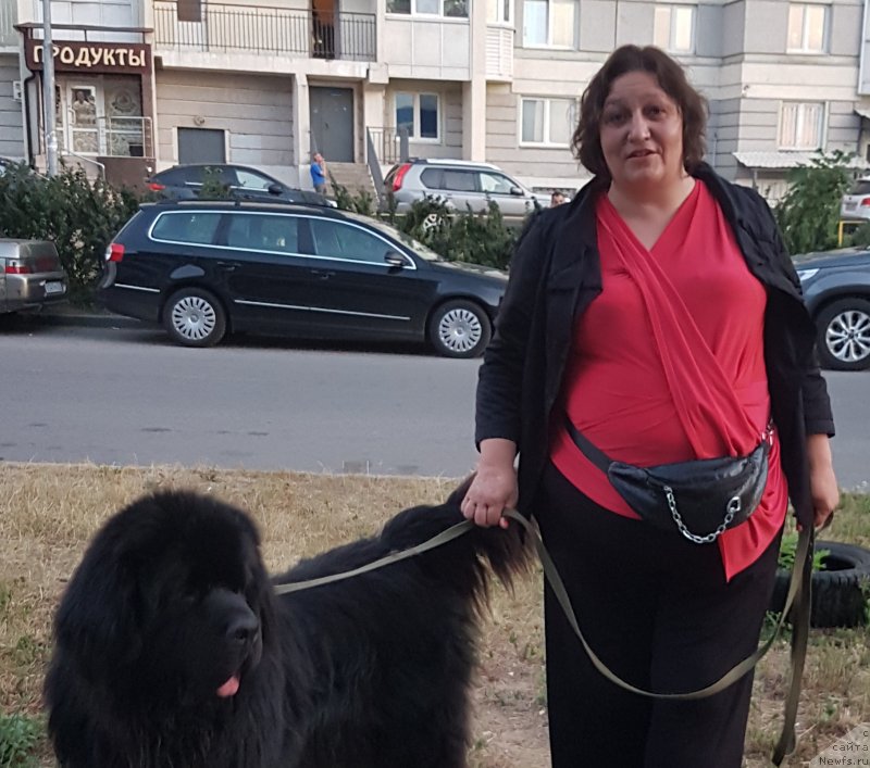 Фото: ньюфаундленд Даанич Веселый Роджер, Лилиана Рахматова