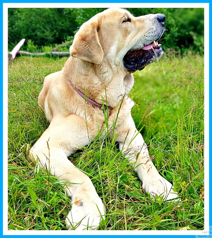 Фото: Франко