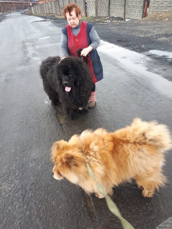 Фотография № 243375