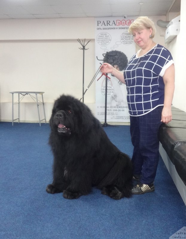 Фотография № 243378