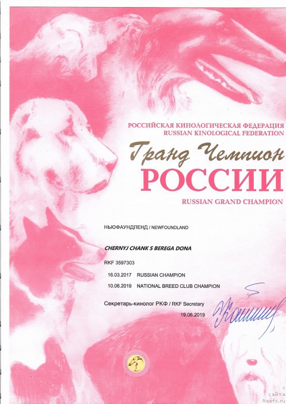 Фотография № 243383