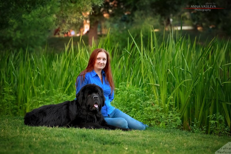 Фотография № 243384