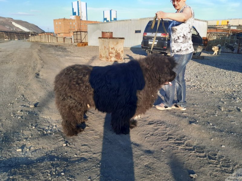 Фотография № 243388