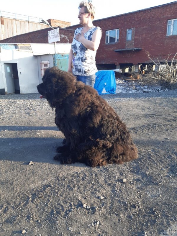 Фотография № 243389