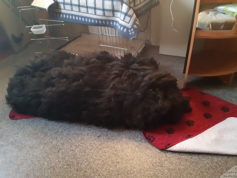 Фотография № 243391