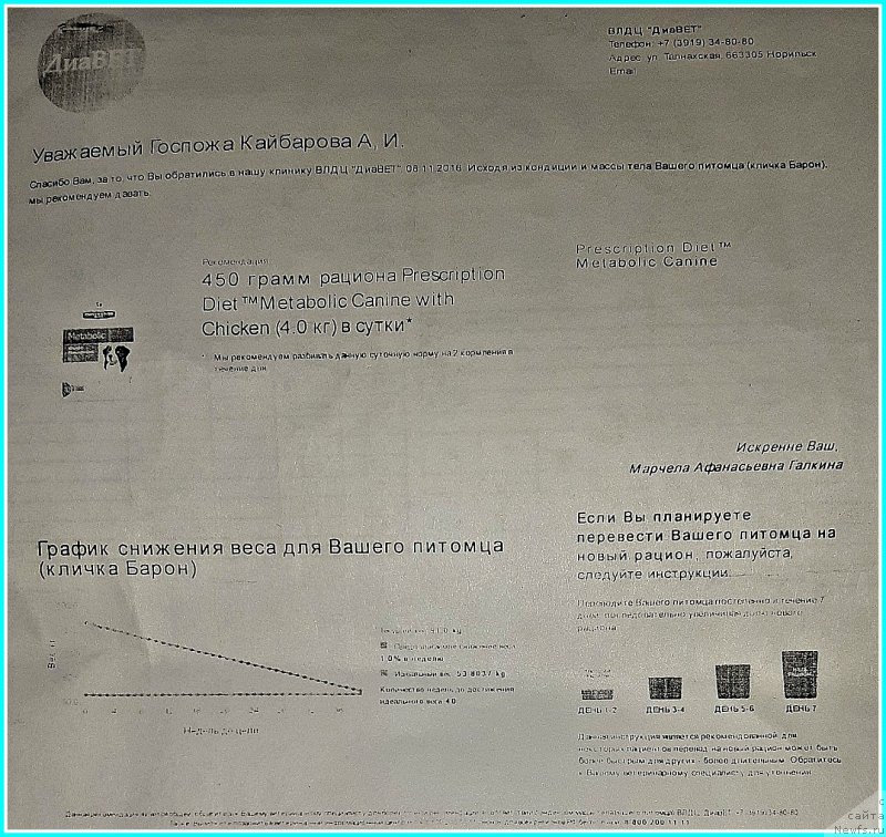 Фотография № 243465