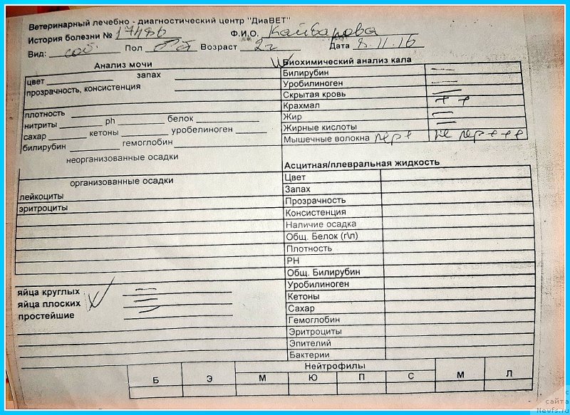 Фотография № 243466