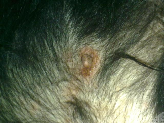 Фото: Денис Климонов