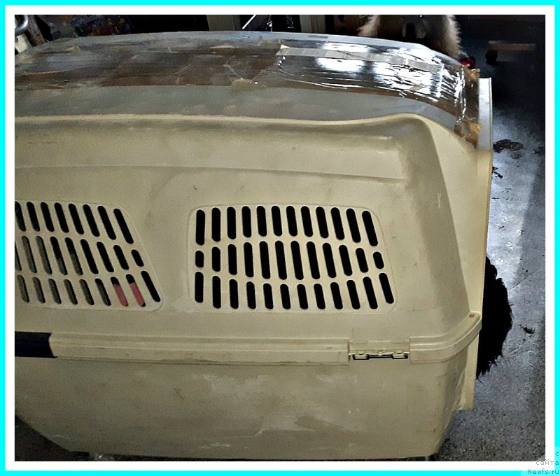 Фотография № 243561